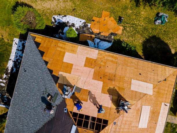 Best Storm Damage Roof Repair  in Walbridge, OH