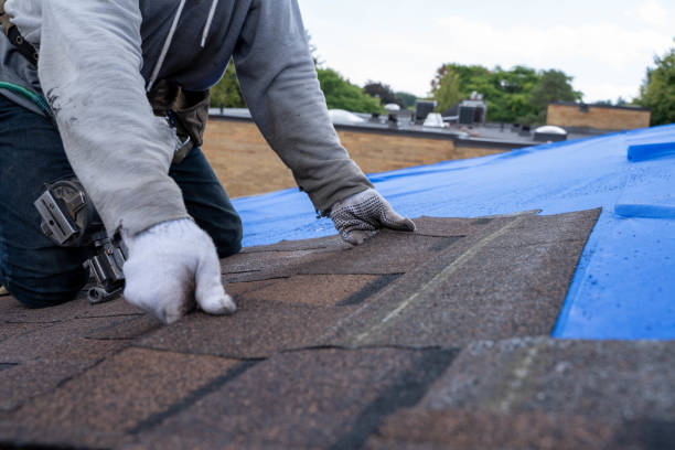 Quick and Trustworthy Emergency Roof Repair Services in Walbridge, OH