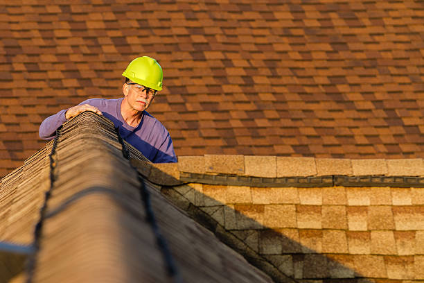 Best Roof Repair Services  in Walbridge, OH