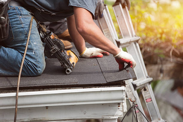 Roof Gutter Cleaning in Walbridge, OH