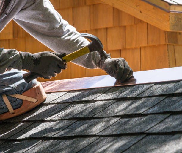 Best Metal Roofing Contractor  in Walbridge, OH